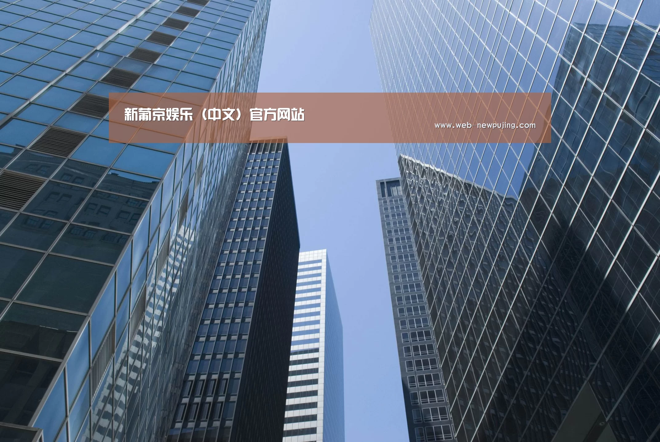 新葡京娱乐官网公司简介 