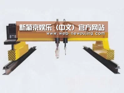 产品名称十九