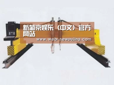 产品名称十七