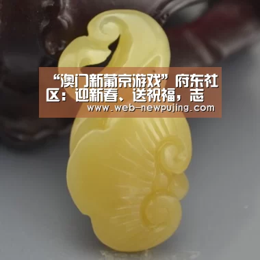 “澳门新葡京游戏”府东社区：迎新春、送祝福，志愿服务暖人心