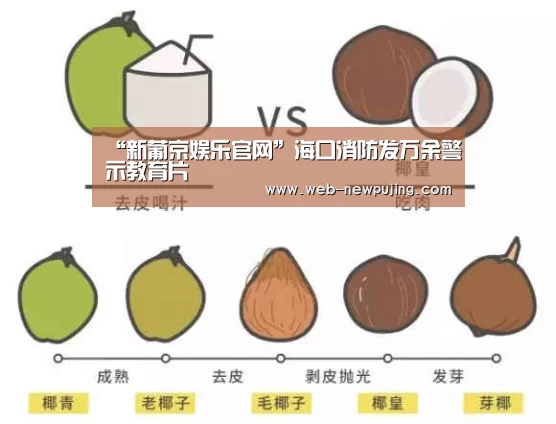 澳门新葡京游戏
